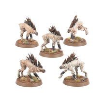 Load image into Gallery viewer, Warhammer 40K: T'au Empire - Kroot Hounds