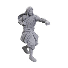 Load image into Gallery viewer, D&D Nolzur's Marvelous Unpainted Miniatures: Archdruid & Martial Arts Adept