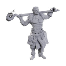 Load image into Gallery viewer, D&D Nolzur's Marvelous Unpainted Miniatures: Archdruid & Martial Arts Adept