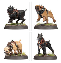 Load image into Gallery viewer, Warhammer Age of Sigmar: Regements of Renown Cities of Sigmar - Van Dent's Hounds