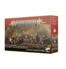 Load image into Gallery viewer, Warhammer AoS: Nurgle Rotbringers - Putrid Blightkings