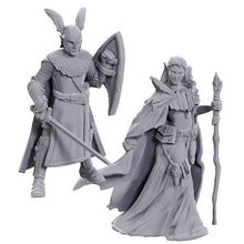 Load image into Gallery viewer, Nolzur's Marvelous Miniatures 50th Anniversary