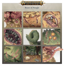 Load image into Gallery viewer, Warhammer Age of Sigmar: Maggotkin of Nurgle - Beast of Nurgle