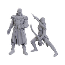 Load image into Gallery viewer, Nolzur's Marvelous Miniatures - Baldur's Gate
