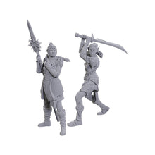Load image into Gallery viewer, Nolzur's Marvelous Miniatures - Baldur's Gate