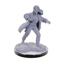 Load image into Gallery viewer, D&D Nolzur's Marvelous Unpainted Miniatures: Reborn Paladin & Warlock