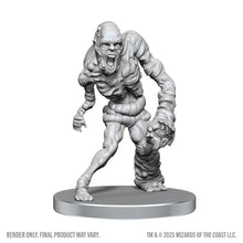 Load image into Gallery viewer, D&D Nolzur's Marvelous Miniatures: Rutterkin & Maw Demon