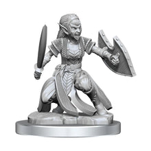 Load image into Gallery viewer, D&D Nolzur's Marvelous Unpainted Miniatures: Shifter Fighter