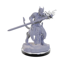 Load image into Gallery viewer, D&D Nolzur's Marvelous Unpainted Miniatures: Tiefling Warlocks