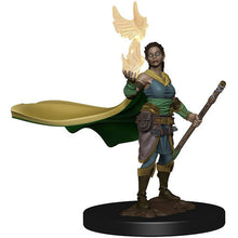Load image into Gallery viewer, D&D, Icons of the Realms: Premium Painted Miniature