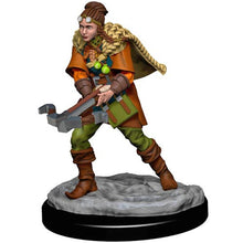 Load image into Gallery viewer, D&D, Icons of the Realms: Premium Painted Miniature