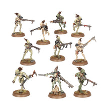 Load image into Gallery viewer, Warhammer 40K: T'au Empire - Kroot Carnivores
