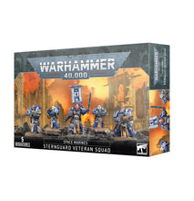 Load image into Gallery viewer, Warhammer 40k: Space Marines - Sternguard Veteran Squad
