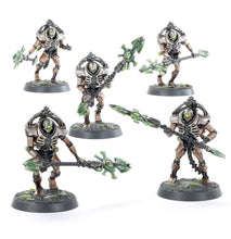Load image into Gallery viewer, Warhammer 40K: Necron Triarch Praetorians
