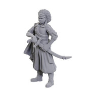 D&D Nolzur's Marvelous Unpainted Miniatures: Ansalon Human Rogue