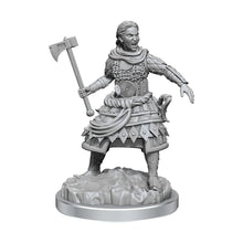 Load image into Gallery viewer, D&amp;D Nolzur's Marvelous Unpainted Miniatures: Human Fighters
