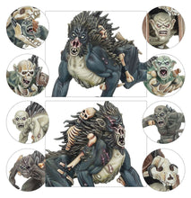 Load image into Gallery viewer, Warhammer Age of Sigmar - Spearhead: Flesh-eater Courts – Charnel Watch
