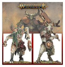 Load image into Gallery viewer, Warhammer Age of Sigmar: Maggotkin of Nurgle - Pestigors
