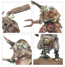 Load image into Gallery viewer, Warhammer Age of Sigmar: Maggotkin of Nurgle - Pestigors
