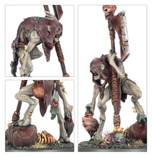 Load image into Gallery viewer, Warhammer Age of Sigmar: Flesh-Eater Courts - Royal Decapitator

