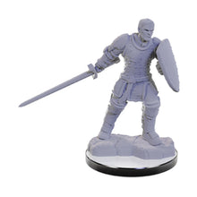 Load image into Gallery viewer, D&amp;D Nolzur's Marvelous Unpainted Miniatures: Reborn Paladin &amp; Warlock
