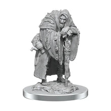 Load image into Gallery viewer, D&amp;D Nolzur's Marvelous Unpainted Miniatures: Wereravens
