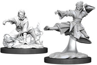 D&D Nolzur's Marvelous Unpainted Miniatures: Female Human Monk (2)