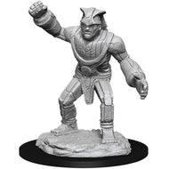 D&D Nolzur's Marvelous Unpainted Miniatures: Stone Golem (1)