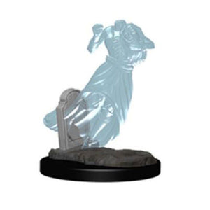 D&D Nolzur's Marvelous Unpainted Miniatures: Ghost & Banshee (2)