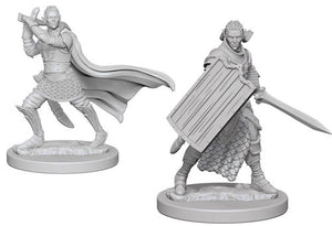 Pathfinder Battles Deep Cuts Unpainted Miniatures: Elf Male Paladin (2)