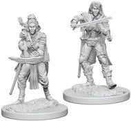 Pathfinder Battles Deep Cuts Unpainted Miniatures: Elf Female Bard (2)