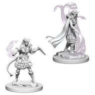 D&D Nolzur's Marvelous Unpainted Miniatures: Tiefling Female Sorcerer (2)