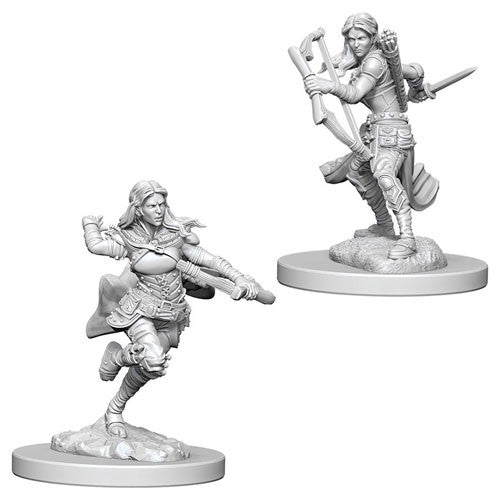 D&D Nolzur's Marvelous Unpainted Miniatures: Air Genasi Female Rogue