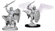 D&D Nolzur's Marvelous Unpainted Miniatures: Aasimar Male Paladin