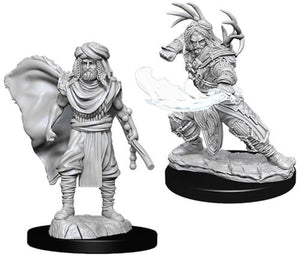 D&D Nolzur's Marvelous Unpainted Miniatures: Human Male Druid