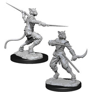 D&D Nolzur's Marvelous Unpainted Miniatures: Male Tabaxi Rogue (2)