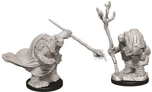 D&D Nolzur's Marvelous Unpainted Miniatures: Tortle Adventurers (2)