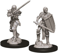 D&D Nolzur's Marvelous Unpainted Miniatures: Female Human Fighter (2)