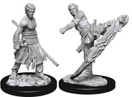 D&D Nolzur's Marvelous Unpainted Miniatures: Male Half-Elf Monk (2)