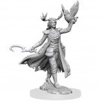 Dungeons and Dragons: Frameworks