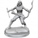 Dungeons and Dragons: Frameworks