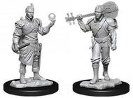 D&D Nolzur's Marvelous Unpainted Miniatures: Male Half-Elf Bard