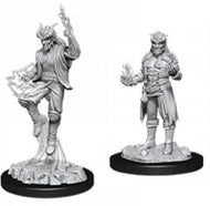 D&D Nolzur's Marvelous Unpainted Miniatures: Male Tiefling Sorcerer