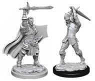 D&D Nolzur's Marvelous Unpainted Miniatures: Male Human Paladin