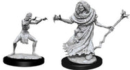 D&D Nolzur's Marvelous Unpainted Miniatures: Sea Hag & Bheur Hag