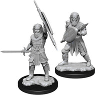 D&D Nolzur's Marvelous Unpainted Minis: Male Human Fighter