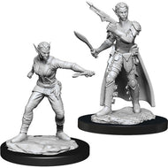 D&D Nolzur's Marvelous Unpainted Minis: Female Shifter Rogue