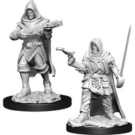 Pathfinder Battles Deep Cuts Unpainted Miniatures: Male Human Rogue