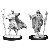 D&D Nolzur's Marvelous Unpainted Minis: Male Human Druid