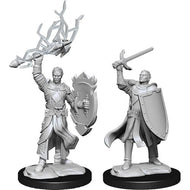 D&D Nolzur's Marvelous Unpainted Minis: Male Half-Elf Paladin